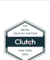 Top eBook Content Writing