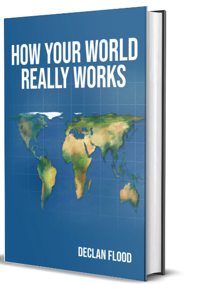 How Your World Really Works by Declan Flood